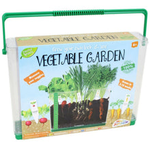 Charger l'image dans la galerie, Kids Vegetable Grow Kit Childrens See Through Garden Grow Box Plant Science Set