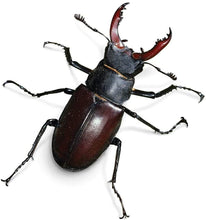 Ladda upp bild till gallerivisning, Bug World Worm Farm Grow Make Your Own Garden Childrens Kids Science Toy Gift

