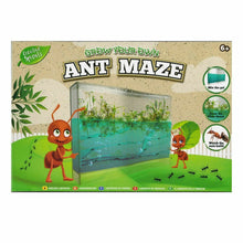 Ladda upp bild till gallerivisning, Ant Farm Kids Build Your Own Ant Maze Ant Colony Science Experiment
