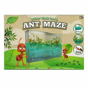 Ant Farm Kids Build Your Own Ant Maze Ant Colony Science Experiment