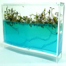 Ladda upp bild till gallerivisning, Ant Farm Kids Build Your Own Ant Maze Ant Colony Science Experiment
