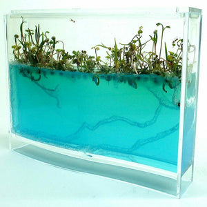 Ant Farm Kids Build Your Own Ant Maze Ant Colony Science Experiment