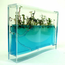 Ladda upp bild till gallerivisning, Ant Farm Kids Build Your Own Ant Maze Ant Colony Science Experiment
